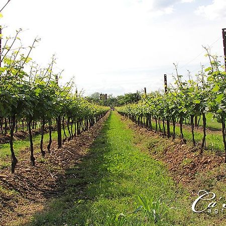 Agriturismo Ca'Mattei Pescantina Eksteriør bilde