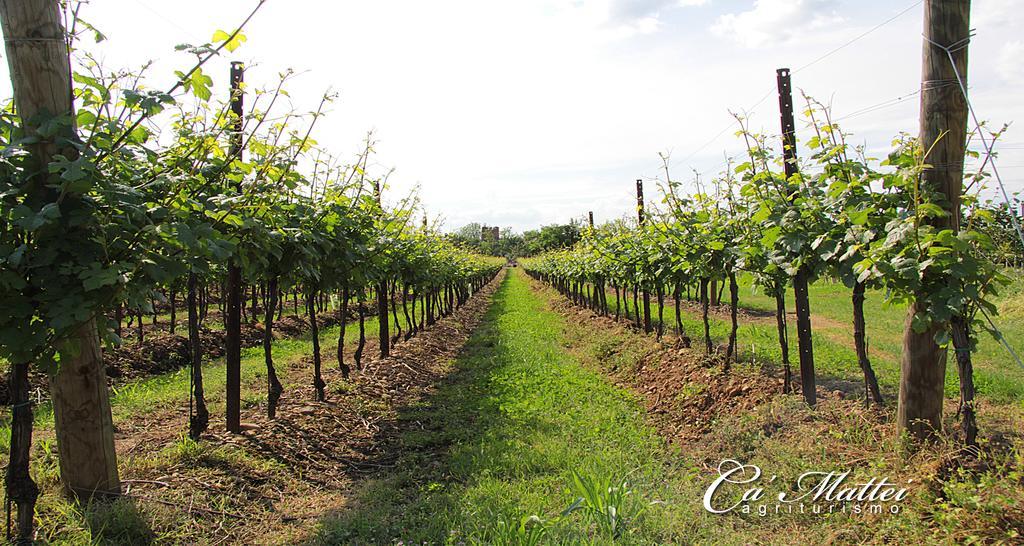 Agriturismo Ca'Mattei Pescantina Eksteriør bilde