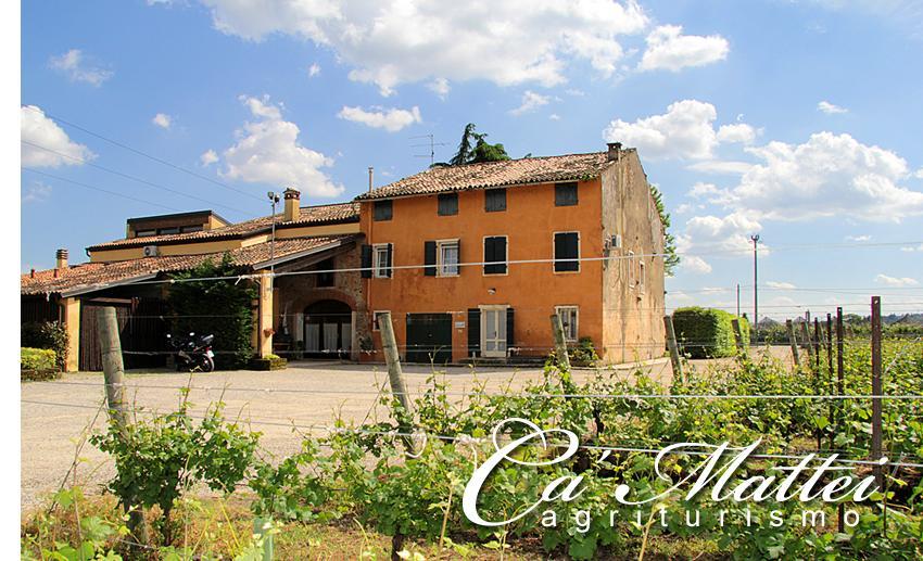 Agriturismo Ca'Mattei Pescantina Eksteriør bilde