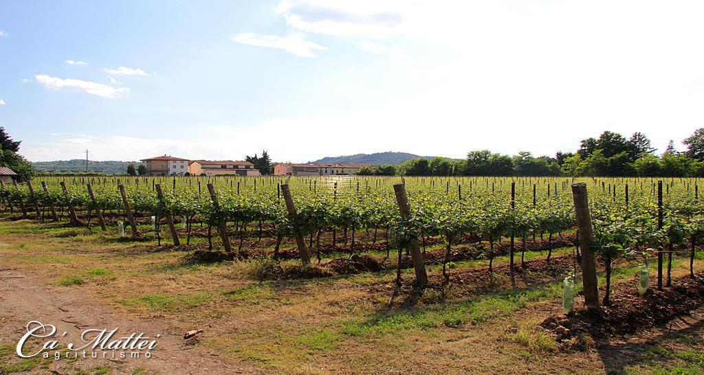 Agriturismo Ca'Mattei Pescantina Eksteriør bilde